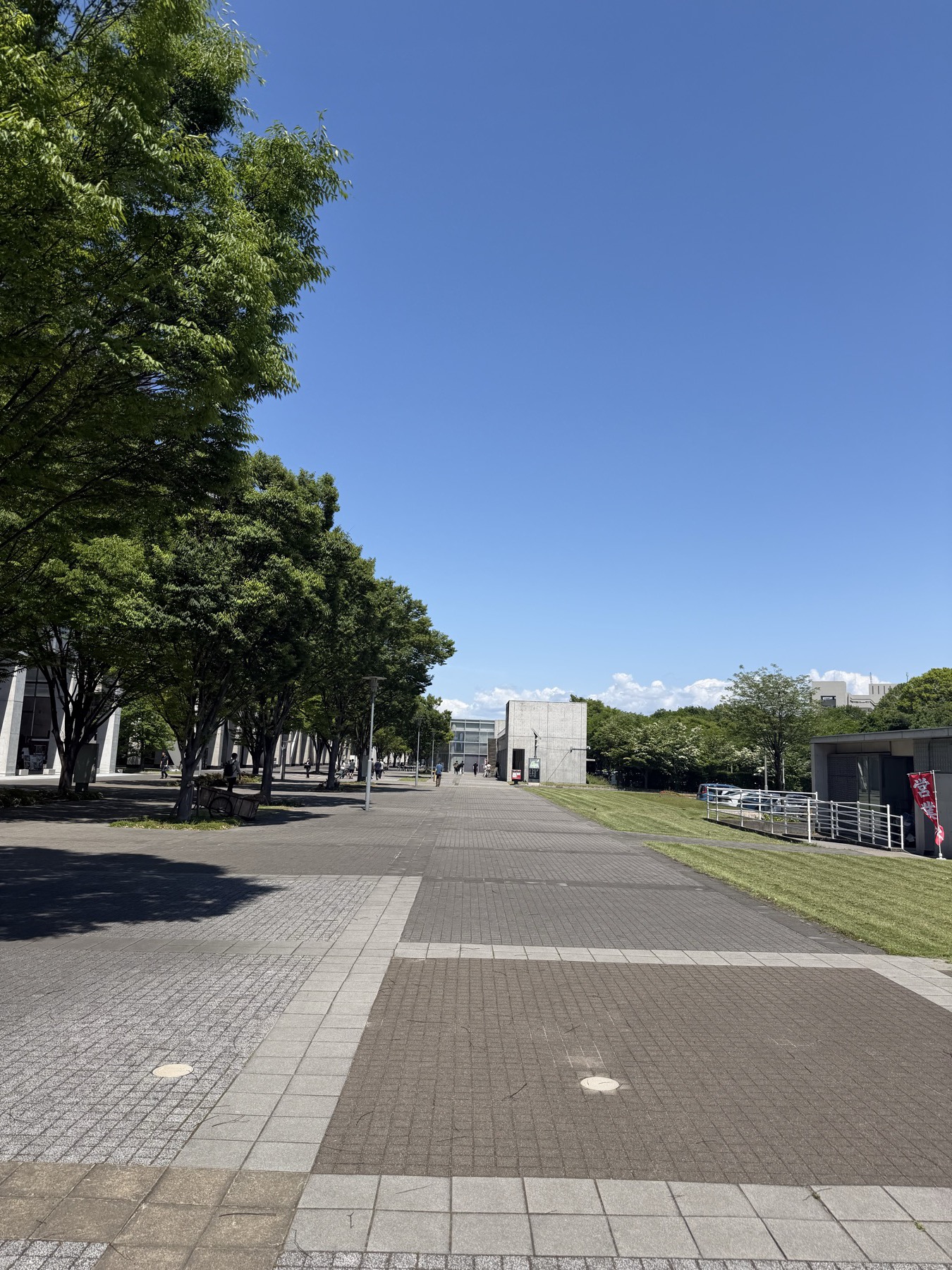 A sunny campus walkway with green trees and a blue sky.